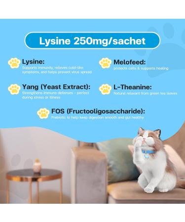 VFcare lysine for Cats l-lysine for Cats 250mg Tuna with Salmon Flavor Supplement Paste Supports Immunity FHV-1 Stress Recovery Digestion Calming no by-Products Vet Recommended 30 sachets - Buy Online on GoSupps.com