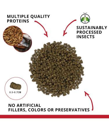 Fluval Bug Bites Cichlid Fish Food 3.53 oz - Nutritious Formula for Healthy Cichlids - Buy Online on GoSupps.com