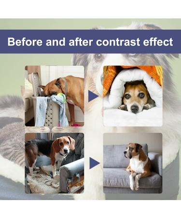 Genonmy Anti Kau Spray for Dogs & Cats - Long-Distance Stop Spray for Effective Chewing Prevention on Furniture Clothing & Shoes - 50ml - Buy Online on GoSupps.com