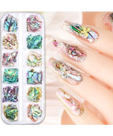 12 Grids Sea Shell Nail Art Nail Flakes Irregular Abalone Shell Slices Nail Art Glitter Slices Colorful Manicure Mermaid Slices Nail Supplies Set UV Gel Flake Nail Decorations for Nail Art Design