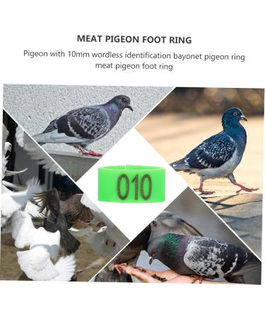 Amosfun 200 Pcs Pigeon Anklet Baby Things Baby Supplies Bird Ring Foot Ring for Pigeon to Open Xuan Feng 1.3X1.3CMx2pcs Greenx2pcs - Buy Online on GoSupps.com