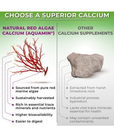 Plant-Based Bone & Immune Support Supplement Bundle Liposomal Vitamin C 1500mg with Organic Acerola & Camu Camu + Calcium Magnesium Zinc with Vitamin D3 K2 & Turmeric Vegan Non-GMO - Buy Online on GoSupps.com