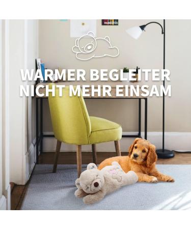 ALL FOR PAWS Little Buddy Bear - Cuddly Plush Toy for Puppies | Soft White Bear Toy & Pet Behavior Aid - Buy Online on GoSupps.com