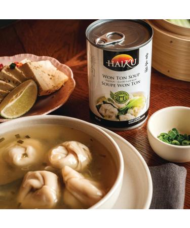 Won Ton Soup Haiku Ready to Eat Authentic & Premium Asian Cuisine Great for Lunch & Dinner 398ml Won Ton 398 ml - Buy Online on GoSupps.com