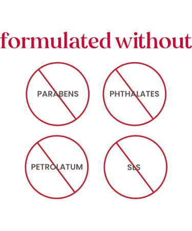 Burt's Bees Best of Gift Set As Shown picture Best(Vanilla Coconut Strawberry and BeeWax) 1 count (Pack of 1) - Buy Online on GoSupps.com