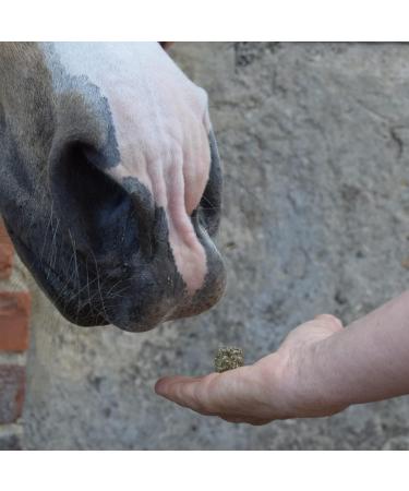 SPILLERS Meadow Herb Horse Treats 1kg - Delicious Treat to Reward Horses and Ponies - Fresh Herbal Flavoured Horse Treats 1 kg (Pack of 1) - Buy Online on GoSupps.com