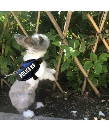 Vehomy Rabbit Harness with Leash for Rabbits Cats & Small Animals - Comfortable Blue Rabbit Harness for Safe Outdoor Adventures - Buy Online on GoSupps.com