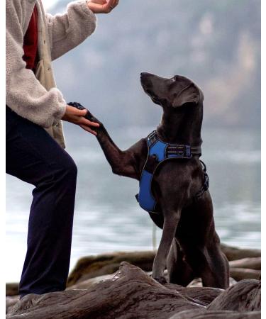Joytale Dog Harness for Small Dogs - Reflective Soft Padded Adjustable & Breathable with Control Handle - Navy Blue (1 Pack) - Buy Online on GoSupps.com