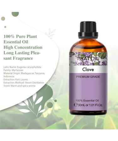 Premium Grade Clove Essential Oil 30ML - Pure Oil for Aromatherapy Diffuser, Humidifier, Candle Making - PHATOIL - Buy Online on GoSupps.com