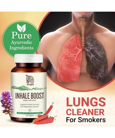 Nirogam Inhale Boost 120 Tablets a Bottle I Lung Support Supplement | Lung Health Supplement | Lung Detox - Buy Online on GoSupps.com