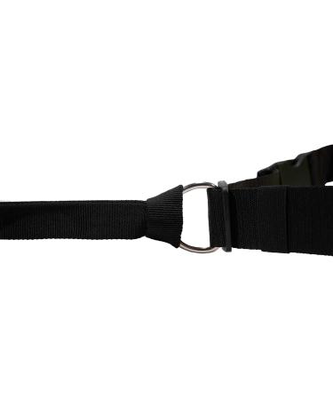 LASALINE Pulling Leash for Dogs - Canicross Jogging Trekking & Scooter | 142cm for Dogs up to 20kg - Black - Buy Online on GoSupps.com