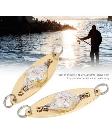 2Pcs Fishing LED Lure - Eye Shape Artificial Flashing Light for Underwater Fishing | International Shipping - Buy Online on GoSupps.com