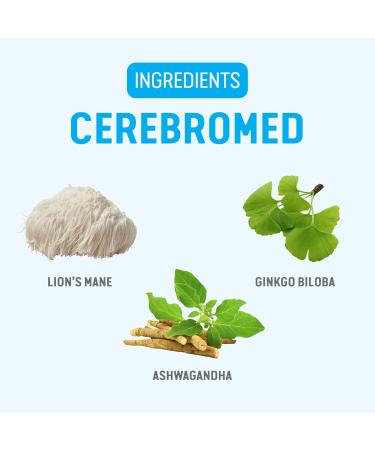 Alterra Cerebromed |Brain Energy and Focus Supplement | Helps Improve MEMORYBRAIN ACTIVITY focus & cognitive function| Ashwagandha Ginkgo biloba & Megnesium stearate vegetable Capsules - 60 Caps - Buy Online on GoSupps.com