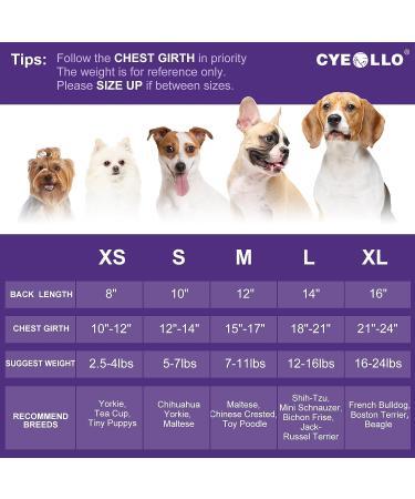 Cute Cartoon Bunny Eggs Dog Easter Dress for Small Dogs - Happy Easter Outfit - Buy Online on GoSupps.com