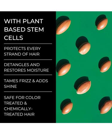 Stem+ Hair Growth Shampoo with Biotin | Sulfate-Free & Safe for Color-Treated Hair | Strengthens Nourishes & Repairs | 16 Fl Oz | Best Hair Thickening Shampoo for Hair Loss - Buy Online on GoSupps.com