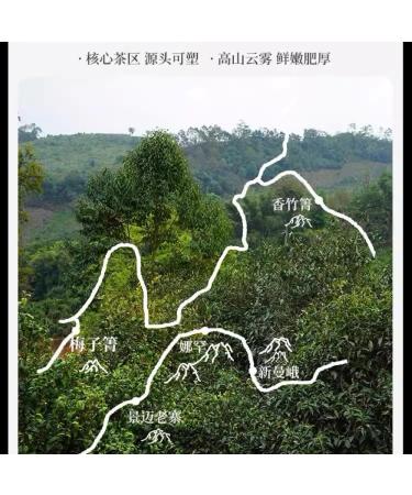 Pu-erh Tea 2022 Xiangzhuqing 357g Raw - Buy Online on GoSupps.com