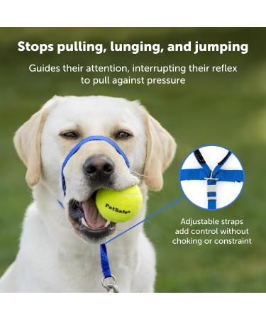 PetSafe Gentle Leader Collar Small (Up to 25 Lbs) - Training DVD Included - Raspberry Pink | International Shipping Available - Buy Online on GoSupps.com