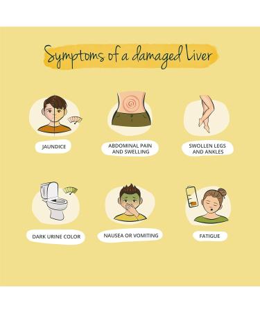 Vegavero Liver Support Supplements with Artichoke, Chicory & Choline | Natural Detox & Repair | 120 Vegan Capsules - Buy Online on GoSupps.com