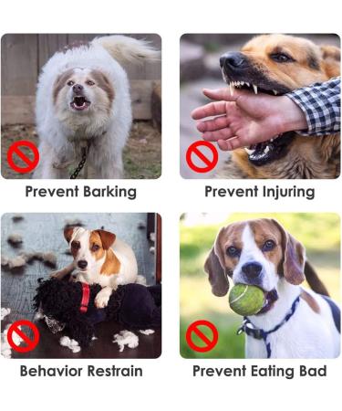 Muzzle for Dogs - Adjustable Velcro Fastener Breathable Mesh Safe for Chewing - Gray M - Buy Online on GoSupps.com