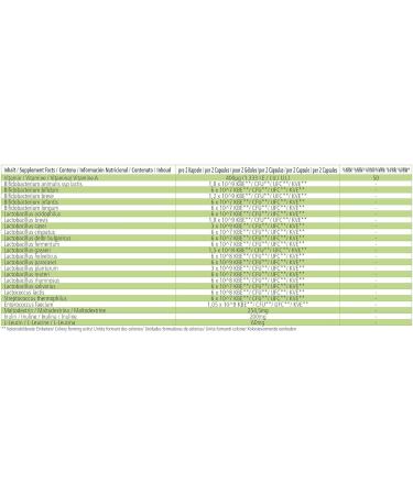 Fairvital Flora Pro 21 - 120 Time-Delayed Capsules with 21 Bacterial Strains | 20 Billion CFUs | Quality Tested Probiotics Made in Germany - International Shipping Available - Buy Online on GoSupps.com