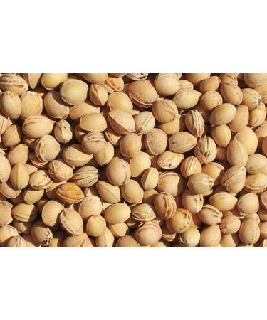 Organic Cherry Stone Pillow 12x12cm | Heat & Cold Therapy | Natural Grain Pillow - Buy Online on GoSupps.com