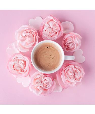 Rawkao SHE Shatavari Drinking Chocolate Powder | Organic Raw Vegan Moon Milk Beverage | Sugar-Free Hot Chocolate & Coffee Replacement | 480g Energy Drink for Women - Pureeraw - Buy Online on GoSupps.com