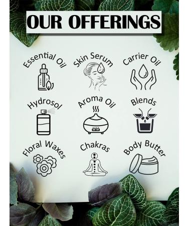 Buy Greenwood Essential Bio-African Shea Butter 50g - Natural Therapeutic Quality (Vitellaria Paradoxa) - International Shipping Available - Buy Online on GoSupps.com