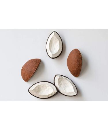 Oli & Carol Coconut Teething Ring & Bath Toy | Natural Rubber Coconut Toy for Babies - Buy Online on GoSupps.com