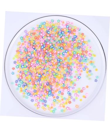 FRCOLOR 3000 Pcs Decor Cell Phone Accessories Polymer Clay Slices for Nail Manicure Tool Nail Beauty Accessories Patch Fruit Slices Filler Cosmetic - Buy Online on GoSupps.com