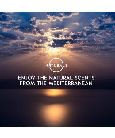 Men's Natural Exfoliating Soap Bar - 3-Pack with Citrus, Olive & Cedarwood - Organic and Energizing Body Soap Bars for Men - Buy Online on GoSupps.com