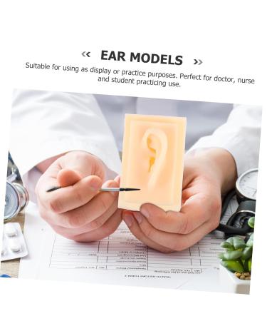 FOMIYES Silicone Ear Model for Teaching & Display | 1 Pair Hearing Aid Presentation Prop 9.5X6.5X4.5CM - International Shipping Available - Buy Online on GoSupps.com