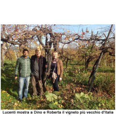  Selected by PARMAshop His Black Majesty Grand Reserve Vinaigrette 100 ml - Buy Online on GoSupps.com