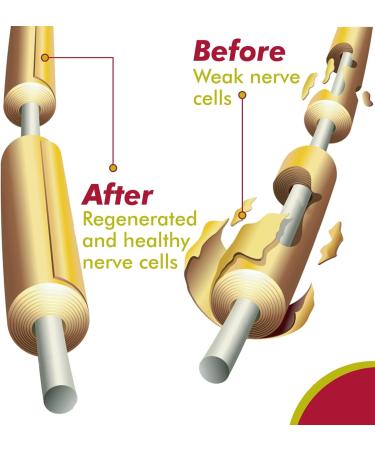 N3 Natural Nerve Neutralizer Plus - Advanced Nerve Support Supplement with Vitamin D3 B1 B6 B12 DHA & Turmeric - 60 Tablets for Repair & Regeneration - Buy Online on GoSupps.com