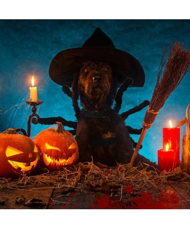 Spooky Cat & Dog Halloween Costumes - Zoneyan Bat Wings Spider Wings & More! - Buy Online on GoSupps.com
