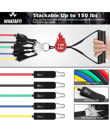 Resistance Bands Exercise Bands Resistance Bands for Working Out Work Out Bands with Handles for Men and Women Fitness Strength Training Home Gym Equipment (Assorted) - Buy Online on GoSupps.com
