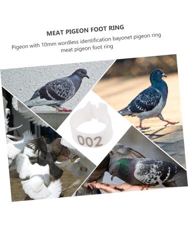 Angoily 300 Pcs Pigeon Anklet Duck Where Clip Chicken Ankle Ring Pigeons Ring Bands Parrot Label Tape Baby 1.3X1.3CMx3pcs Whitex3pcs - Buy Online on GoSupps.com