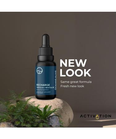 Activation Products Oceans Alive Marine Phytoplankton Brain Supplement 30ml - Enhances Memory, Focus, Energy for Men and Women - Buy Online on GoSupps.com