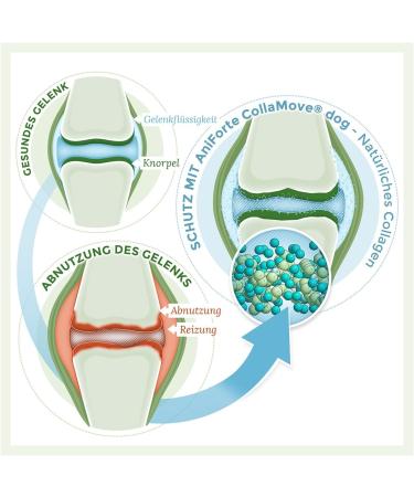 AniForte Collamove Collagen Joint Powder for Dogs 450g | Natural Support for Joint Function Tendons & Ligaments - Buy Online on GoSupps.com