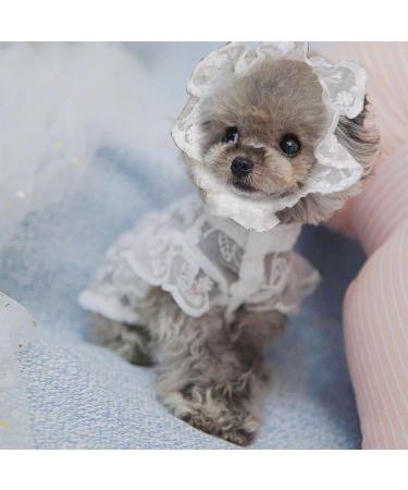 Dog Costume Pet Hat Breathable Good-looking Round Neck Puppy Lace Skirt for Dog Supplies Pet Princess Dress Pet Princess Dress White S - Buy Online on GoSupps.com