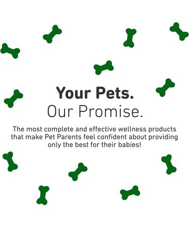 Dermaplex Skin & Coat Shampoo for Dogs & Puppies - Fresh Scent | 8 fl oz | International Veterinary Sciences - Buy Online on GoSupps.com