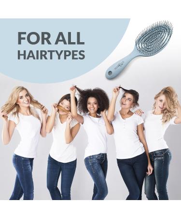 marQus Detangle Hair Brush - Ultra-soft Bristles for Men & Women - Tangle-Free Hair, Wet & Dry Use - 1pcs Arctic Brush - Buy Online on GoSupps.com