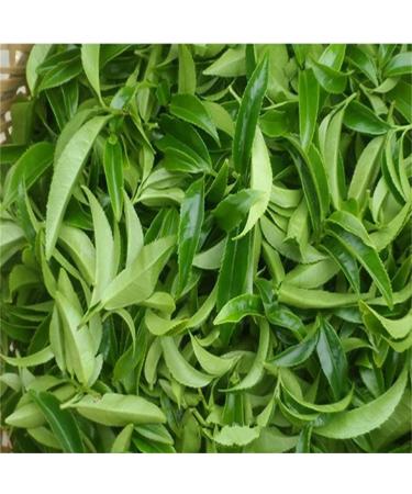 250g printemps Fenghuang Dancong th Phoenix th de buisson unique th Oolong naturel - Buy Online on GoSupps.com