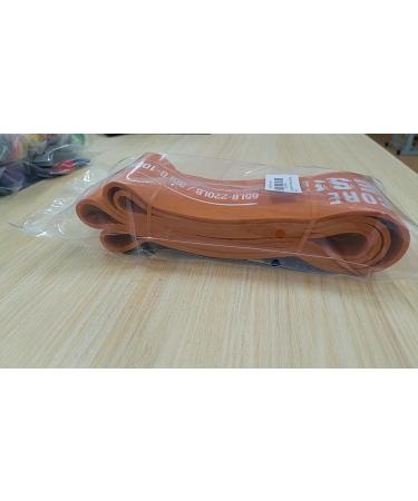 Iron Core Fitness Resistance Bands - Pull Up Assist for Strength Training at Home or Gym - Includes Ebooks and Workout Chart - #7 Orange - Buy Online on GoSupps.com