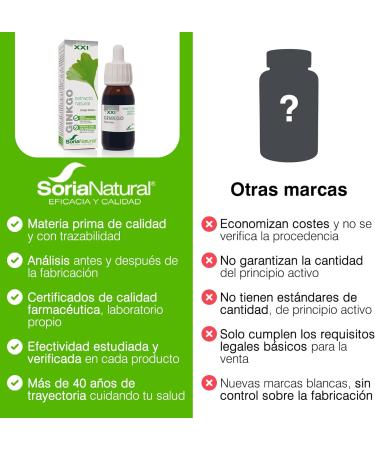 Soria Natural Ginkgo Biloba Extract 50ml - Pack of 1 | Powerful Natural Supplement - Buy Online on GoSupps.com