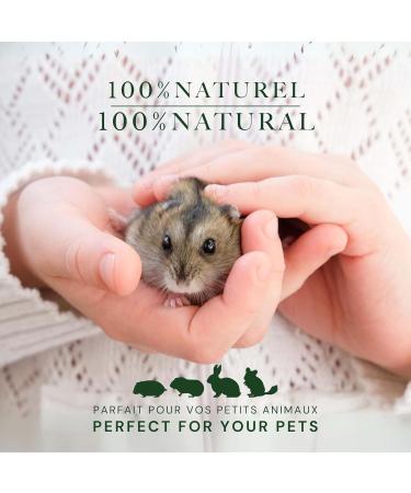 JNP Farms Timothy Hay Cubes for Small Animals |1lb| 100% Natural High Fiber Treats Promotes Digestive & Dental Health Made in Canada - Buy Online on GoSupps.com