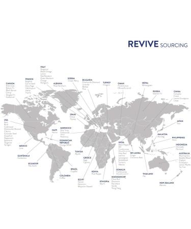 Peppermint Essential Oil by Revive Essential Oils - 100% Pure Therapeutic Grade for Diffuser Humidifier Massage Aromatherapy Skin & Hair Care Peppermint 0.34 Fl Oz (Pack of 1) - Buy Online on GoSupps.com