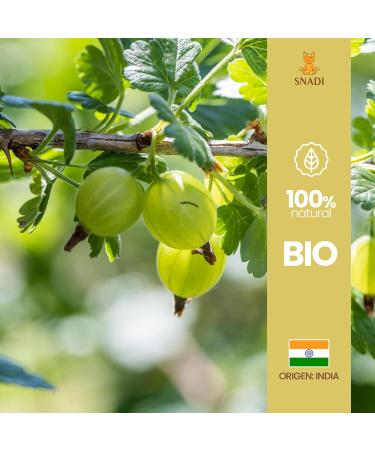 Snadi 1 kg Authentic Indian Amla Powder for Hair Natural Enhancer and Revitalizing Ecological Packaging Organic Pure and Natural Product Versatile in Hair Care - Buy Online on GoSupps.com