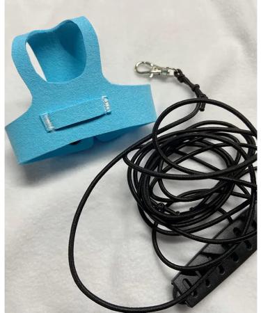 Bird Flight Harness Vest | Parrot Flight Suit with Leash | Outdoor Bird Flying Clothes | Training Vest for Parakeets, Cockatiels, Conures, Budgies | Blue - Buy Online on GoSupps.com