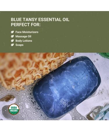 Organic Blue Tansy Essential Oil Direct from Malagassi Essential Oils - Ideal in Face Oil - Organic Blue Tansy for Candle Making and Soap Making (5 mL) Organic Blue Tansy 0.17 Fl Oz (Pack of 1) - Buy Online on GoSupps.com