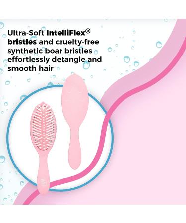 Go Green Watermelon Oil Infused Detangling Hair Brush - Pain-Free Ultra-Soft Bristles - Protects Against Split Ends - Watermelon Oil Shine Brush | 1 Count - Buy Online on GoSupps.com